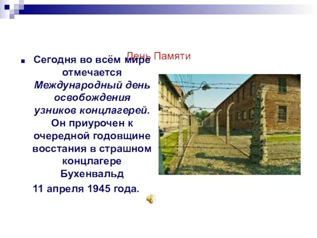 День Памяти Сегодня во всём мире отмечается Международный день освобождения узников концлагерей.