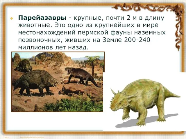 Парейазавры - крупные, почти 2 м в длину животные. Это одно из