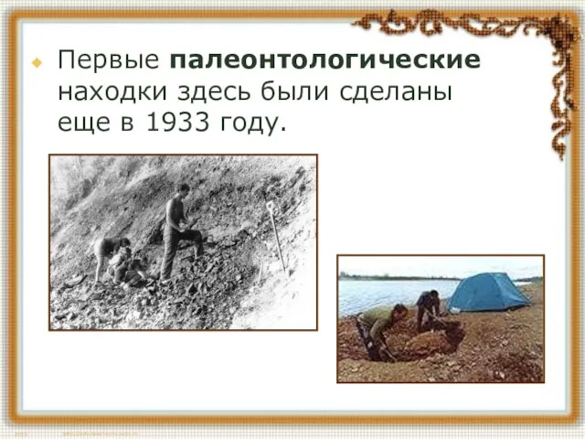 Первые палеонтологические находки здесь были сделаны еще в 1933 году.