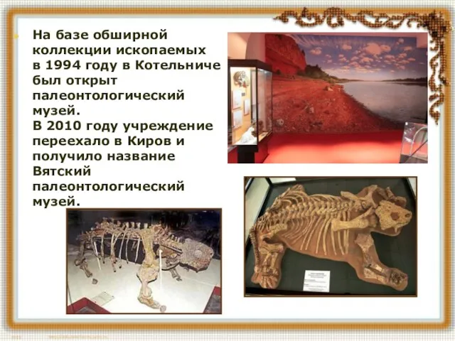 На базе обширной коллекции ископаемых в 1994 году в Котельниче был открыт