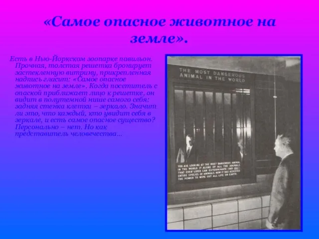 «Самое опасное животное на земле». Есть в Нью-Йоркском зоопарке павильон. Прочная, толстая