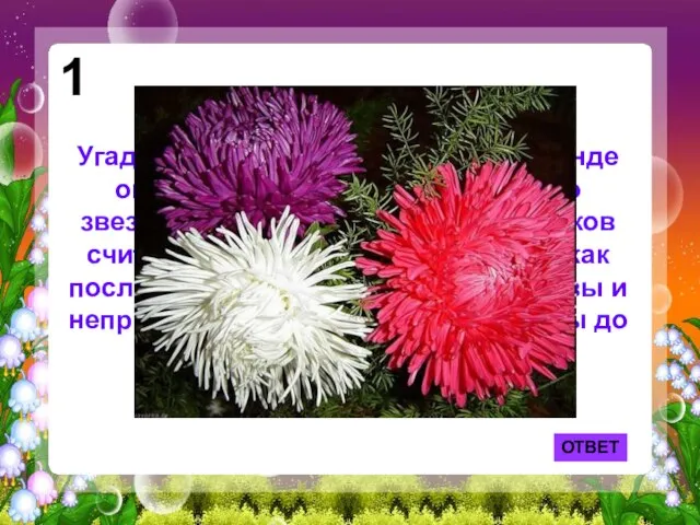 Угадайте, что это за цветок? По легенде он вырос из пылинки, упавшей