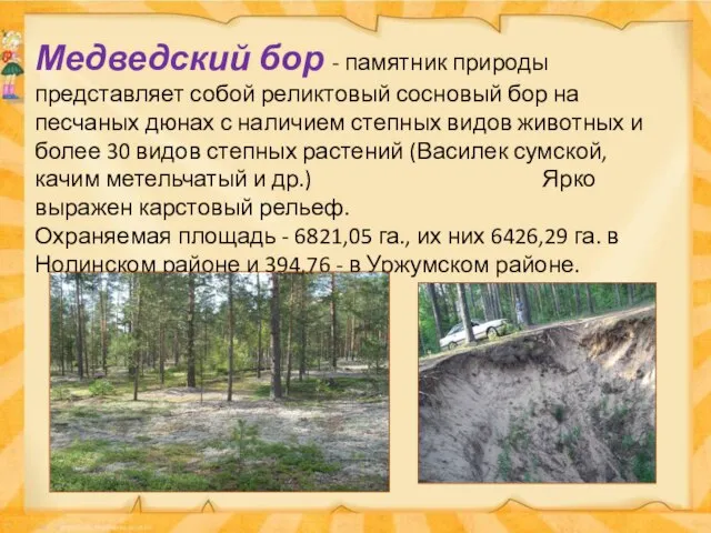Медведский бор - памятник природы представляет собой реликтовый сосновый бор на песчаных