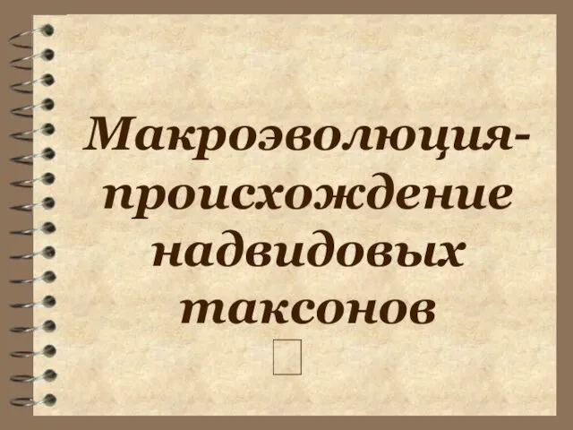 Макроэволюция- ? происхождение надвидовых таксонов