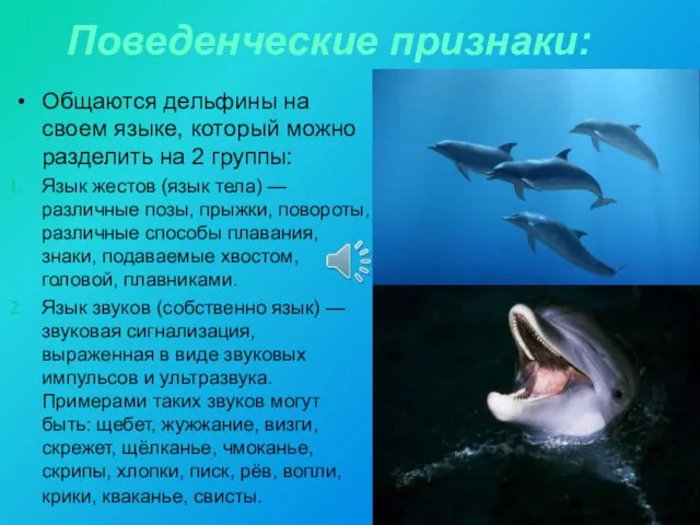 Поведенческие признаки: Общаются дельфины на своем языке, который можно разделить на 2