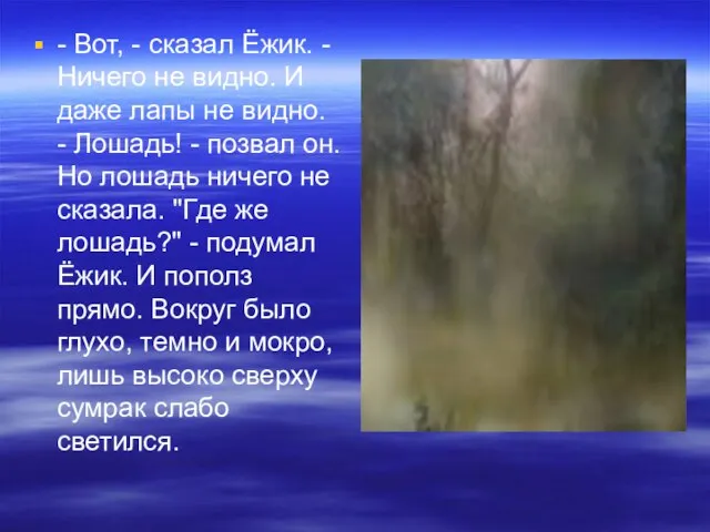 - Вот, - сказал Ёжик. - Ничего не видно. И даже лапы