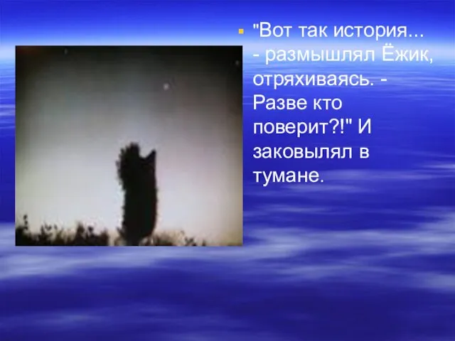 "Вот так история... - размышлял Ёжик, отряхиваясь. - Разве кто поверит?!" И заковылял в тумане.