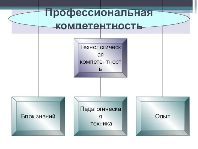 Профессиональная компетентность