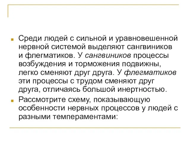 Среди людей с сильной и уравновешенной нервной системой выделяют сангвиников и флегматиков.