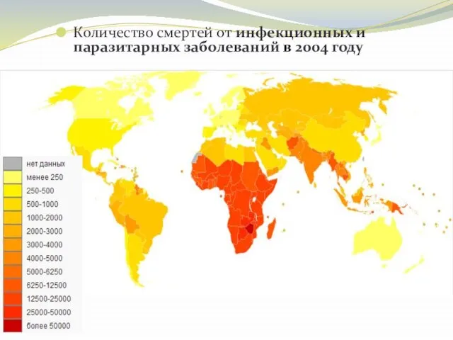Количество смертей от инфекционных и паразитарных заболеваний в 2004 году