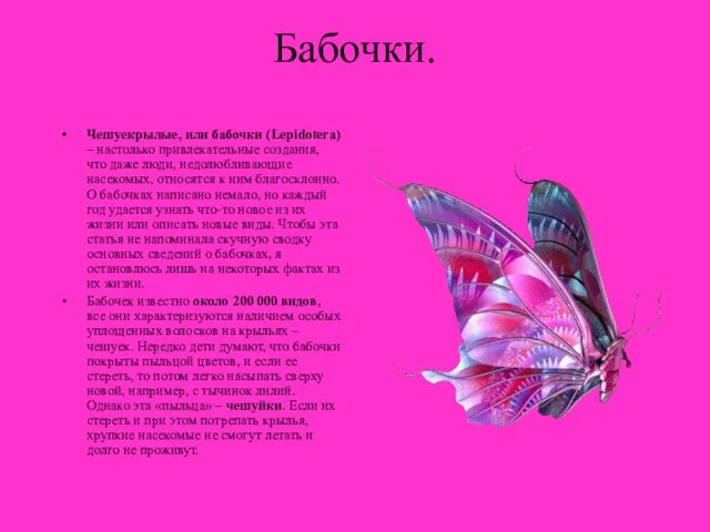 Бабочки. Чешуекрылые, или бабочки (Lepidotera) – настолько привлекательные создания, что даже люди,