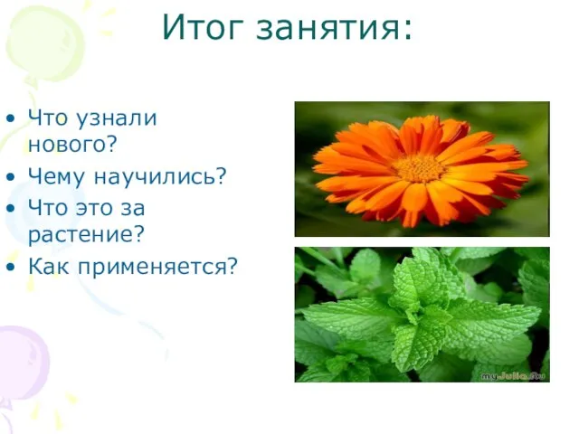 Итог занятия: Что узнали нового? Чему научились? Что это за растение? Как применяется?