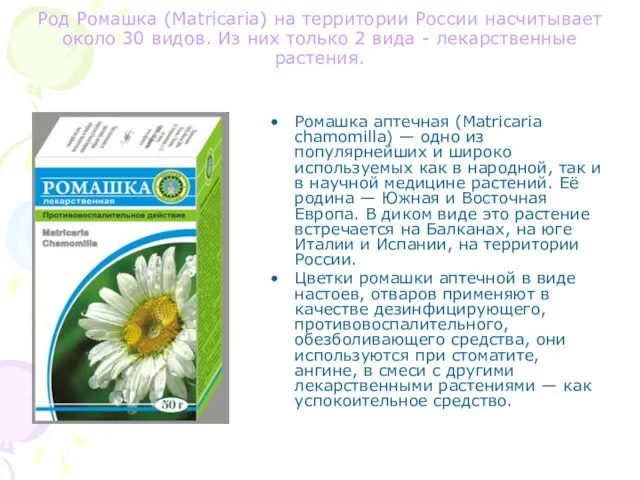 Род Ромашка (Matricaria) на территории России насчитывает около 30 видов. Из них