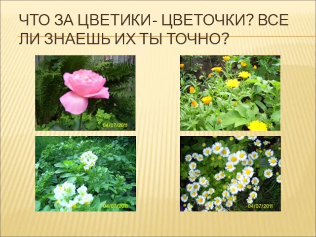 ЧТО ЗА ЦВЕТИКИ- ЦВЕТОЧКИ? ВСЕ ЛИ ЗНАЕШЬ ИХ ТЫ ТОЧНО?