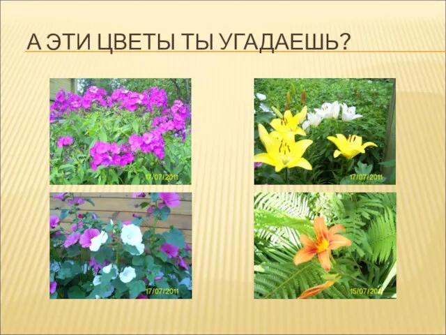 А ЭТИ ЦВЕТЫ ТЫ УГАДАЕШЬ?