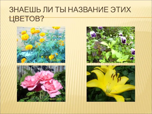 ЗНАЕШЬ ЛИ ТЫ НАЗВАНИЕ ЭТИХ ЦВЕТОВ?