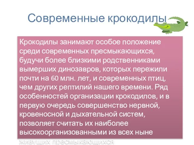 Современные крокодилы Крокодилы занимают особое положение среди современных пресмыкающихся, будучи более близкими