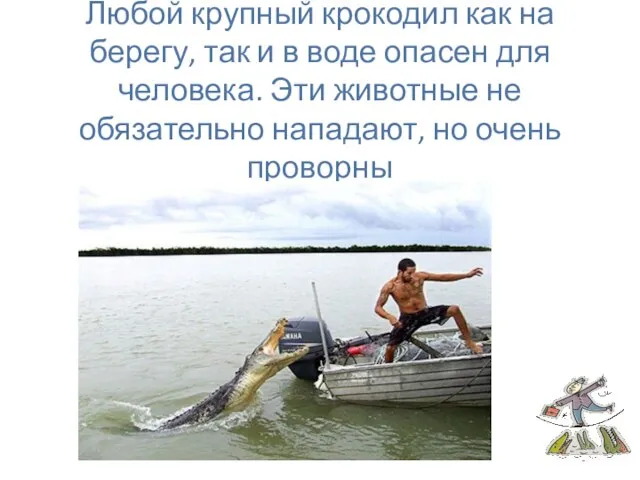 Любой крупный крокодил как на берегу, так и в воде опасен для