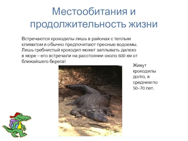 Местообитания и продолжительность жизни Встречаются крокодилы лишь в районах с теплым климатом