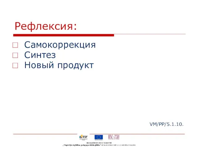 Рефлексия: Самокоррекция Синтез Новый продукт VM/PP/5.1.10.