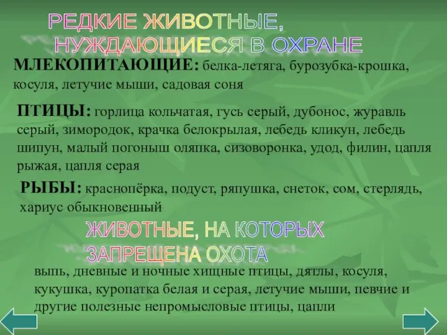 РЕДКИЕ ЖИВОТНЫЕ, НУЖДАЮЩИЕСЯ В ОХРАНЕ МЛЕКОПИТАЮЩИЕ: белка-летяга, бурозубка-крошка, косуля, летучие мыши, садовая