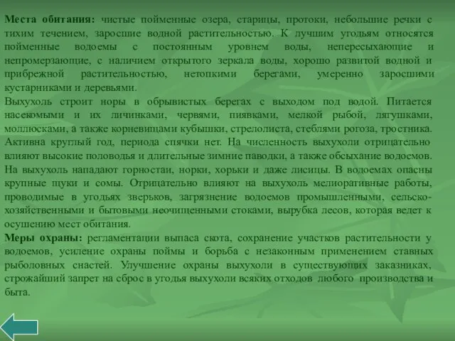 Места обитания: чистые пойменные озера, старицы, протоки, небольшие речки с тихим течением,