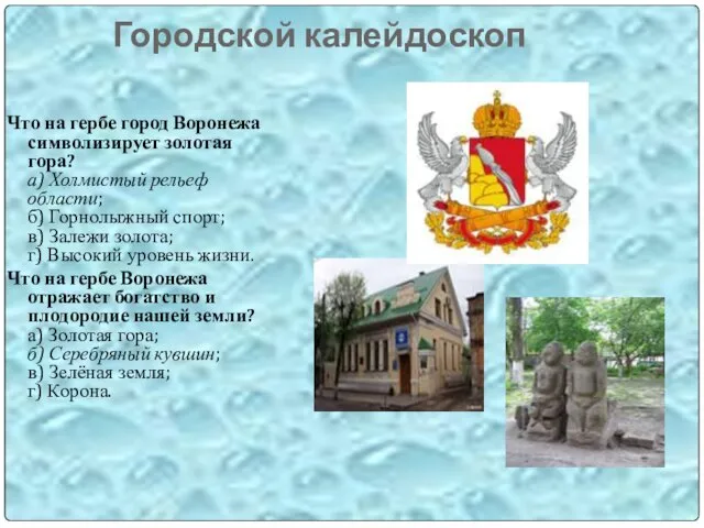 Городской калейдоскоп Что на гербе город Воронежа символизирует золотая гора? а) Холмистый