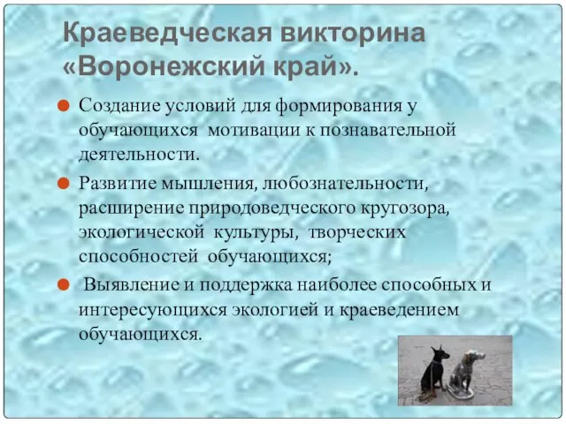 Краеведческая викторина «Воронежский край». Создание условий для формирования у обучающихся мотивации к