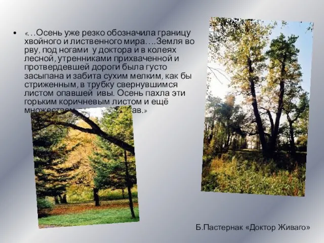 Б.Пастернак «Доктор Живаго» «…Осень уже резко обозначила границу хвойного и лиственного мира….Земля