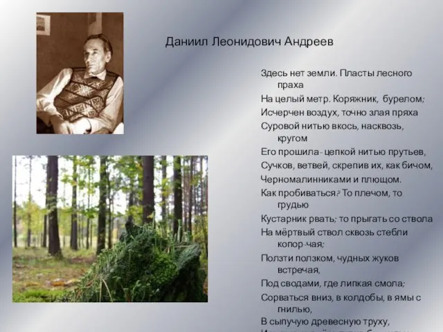 Даниил Леонидович Андреев Здесь нет земли. Пласты лесного праха На целый метр.