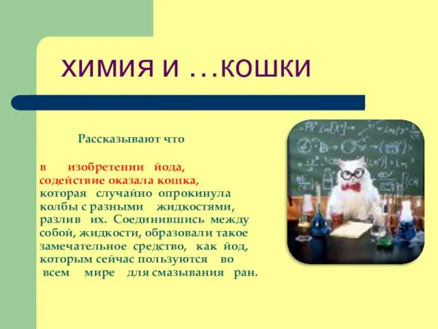 химия и …кошки Рассказывают что в изобретении йода, содействие оказала кошка, которая