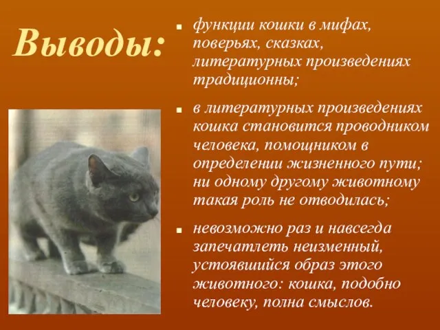 Выводы: функции кошки в мифах, поверьях, сказках, литературных произведениях традиционны; в литературных