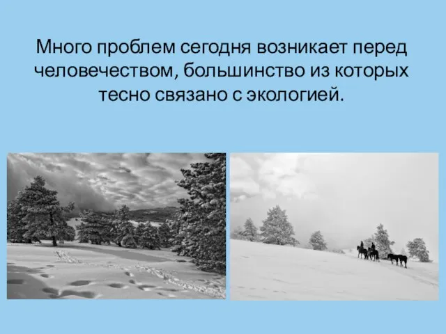 Много проблем сегодня возникает перед человечеством, большинство из которых тесно связано с экологией.