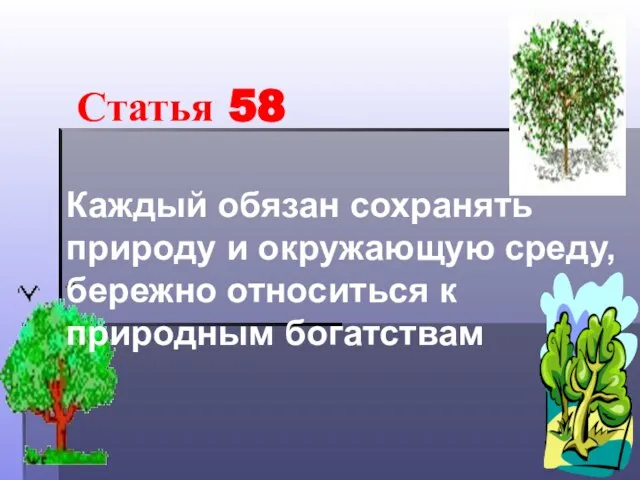 Каждый обязан сохранять природу и окружающую среду, бережно относиться к природным богатствам Статья 58