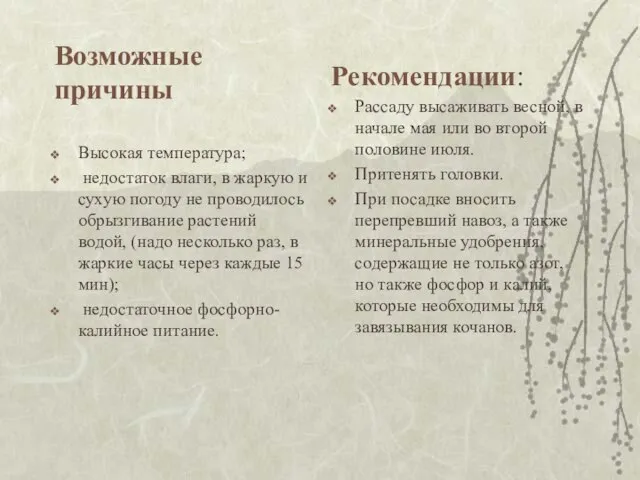 Возможные причины Высокая температура; недостаток влаги, в жаркую и сухую погоду не