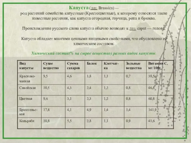 Капуста (лат. Brassica) — род растений семейства капустные (Крестоцветные), к которому относятся