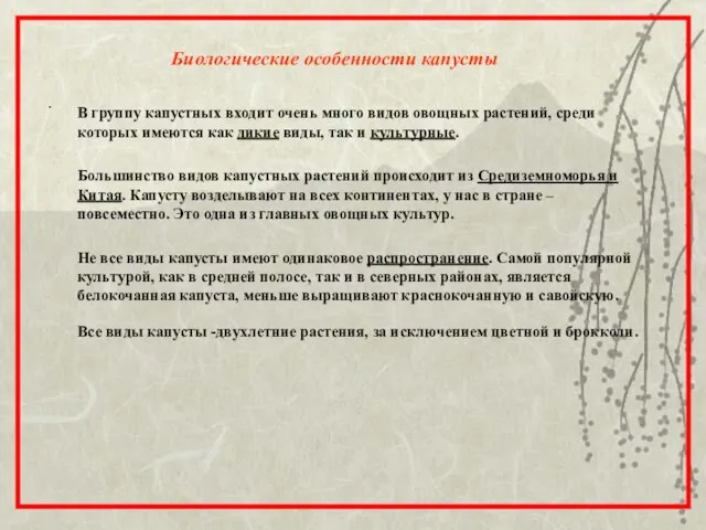 Биологические особенности капусты . В группу капустных входит очень много видов овощных