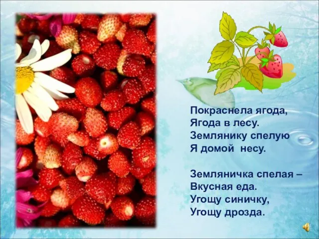 Покраснела ягода, Ягода в лесу. Землянику спелую Я домой несу. Земляничка спелая