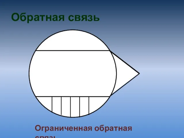 Обратная связь Ограниченная обратная связь