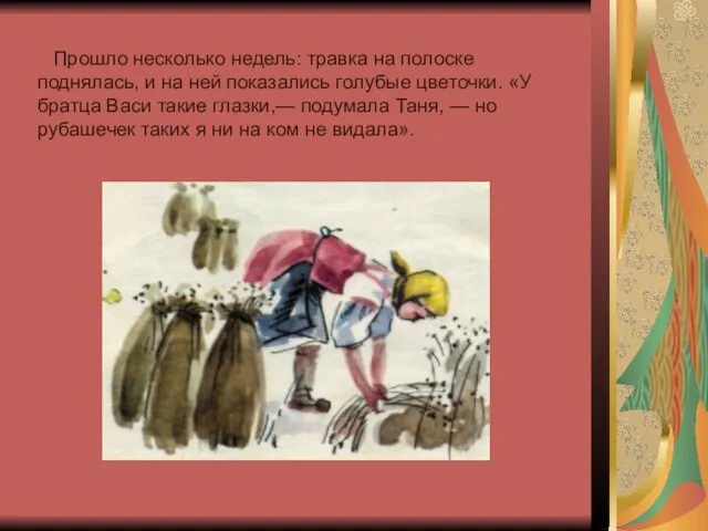 Прошло несколько недель: травка на полоске поднялась, и на ней показались голубые