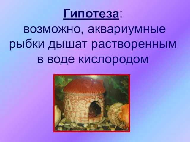 Гипотеза: возможно, аквариумные рыбки дышат растворенным в воде кислородом