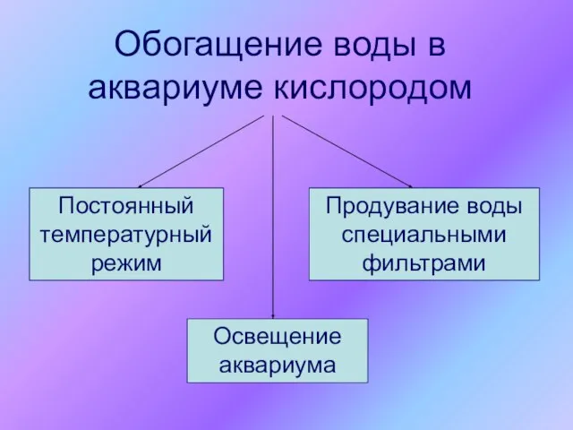 Обогащение воды в аквариуме кислородом Освещение аквариума Постоянный температурный режим Продувание воды специальными фильтрами