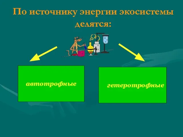 По источнику энергии экосистемы делятся: автотрофные гетеротрофные