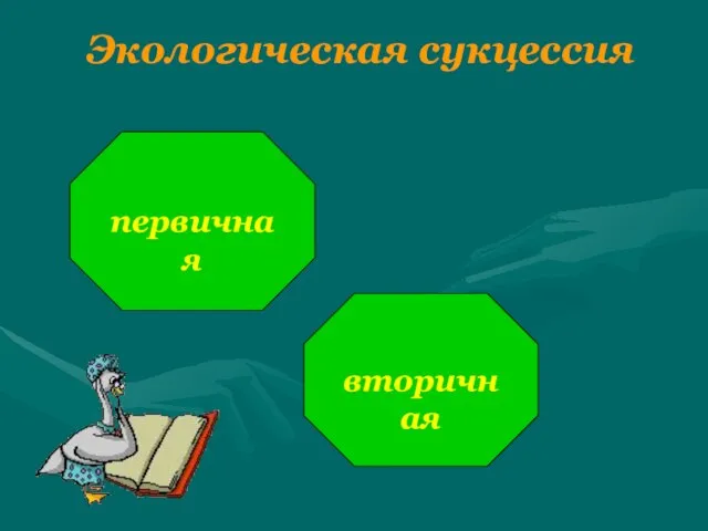 Экологическая сукцессия первичная вторичная