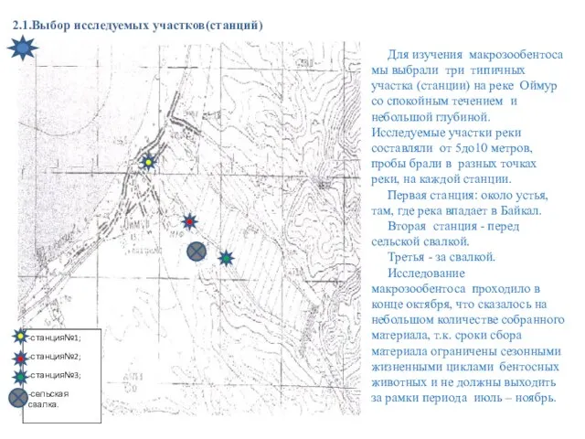 2.1.Выбор исследуемых участков(станций) Для изучения макрозообентоса мы выбрали три типичных участка (станции)