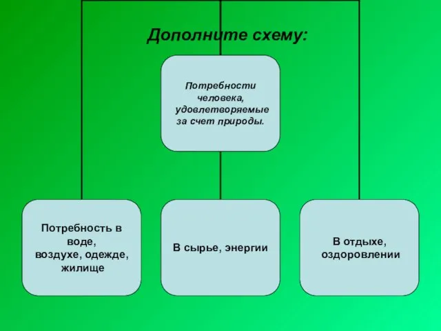 Дополните схему: