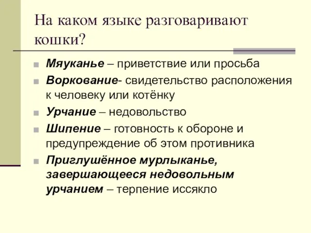 На каком языке разговаривают кошки? Мяуканье – приветствие или просьба Воркование- свидетельство