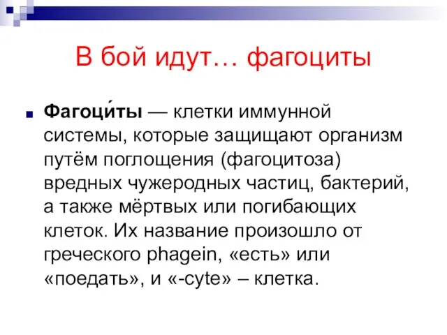 В бой идут… фагоциты Фагоци́ты — клетки иммунной системы, которые защищают организм