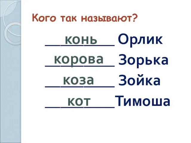 Кого так называют? _________ Орлик _________ Зорька _________ Зойка _________Тимоша коза корова конь кот