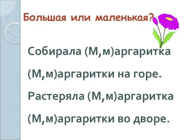 Большая или маленькая? Собирала (М,м)аргаритка (М,м)аргаритки на горе. Растеряла (М,м)аргаритка (М,м)аргаритки во дворе.